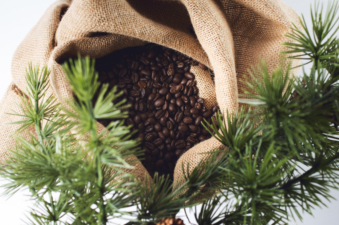Coffee Beans for Holidays: Selecting Blends That Evoke Festive Cheer