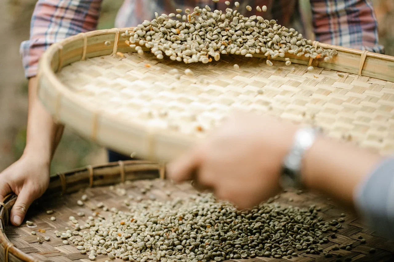 Single Origin Coffee Online vs Blends: Which Is Better for You?