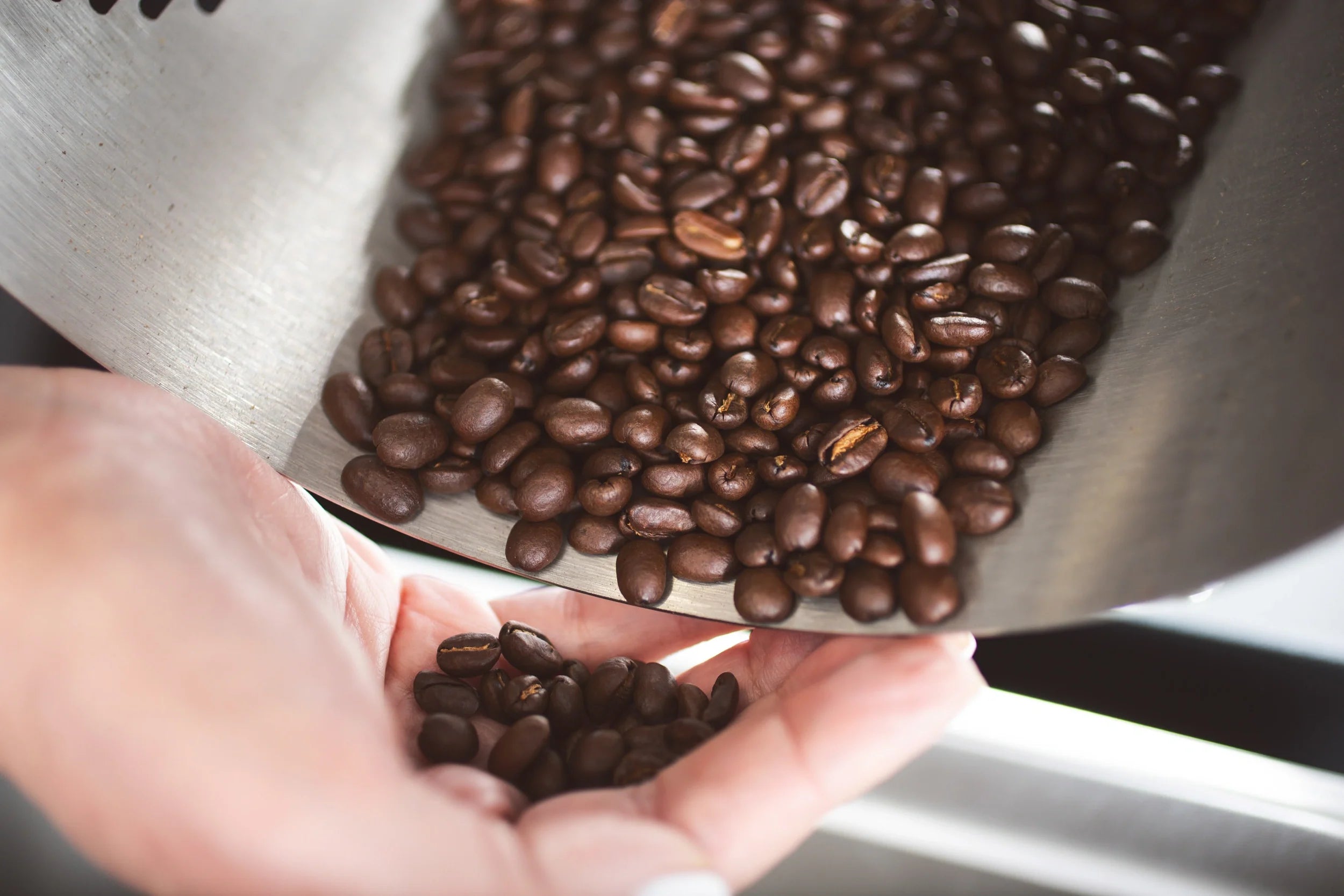 What Every Coffee Lover Should Know About Roast Date Freshness