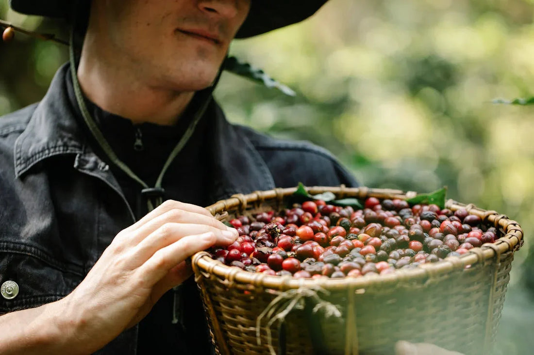 How Single Origin Coffee Supports Small Farmers and Communities
