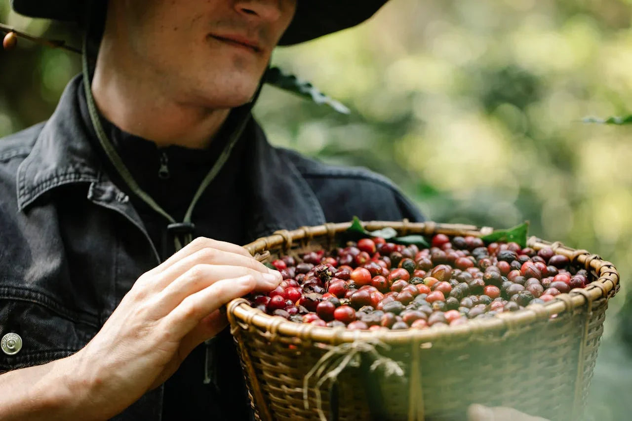 How Single Origin Coffee Supports Small Farmers and Communities