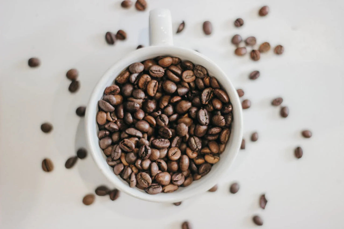 How to Choose Premium Coffee Beans Online for Perfect Brewing